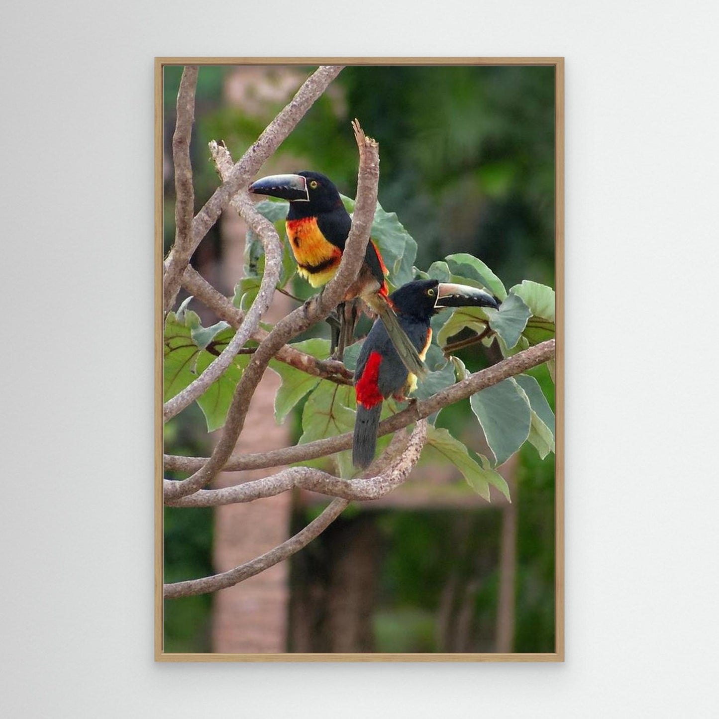 Canvas Print Impression 