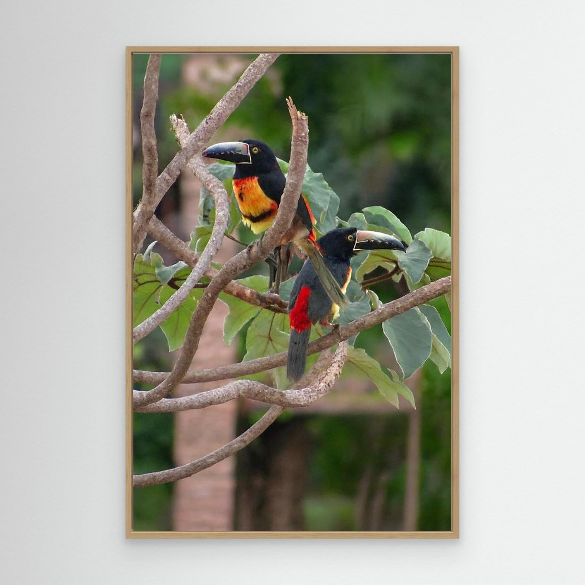 Canvas Print Impression 
