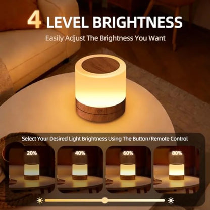 Portable Night Light For,Usb Rechargeable Small Desk Lamp, 13 RGB Colors and 4 Brightness and 1 Remote, Touch Bedside Table Lam
