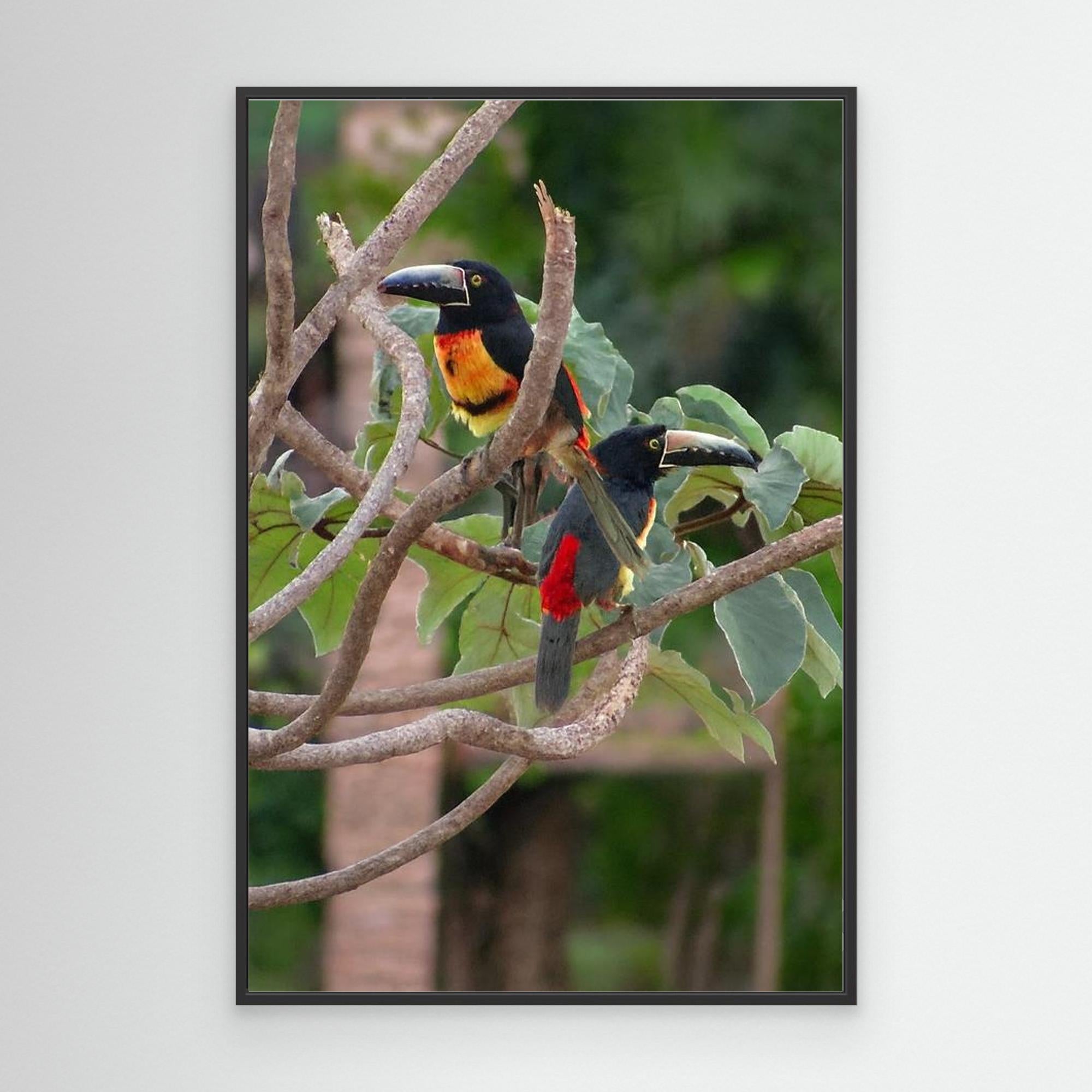 Canvas Print Impression 